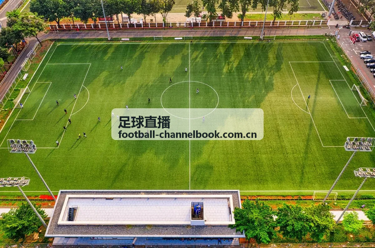 足球直播西班牙国家德比数据统计